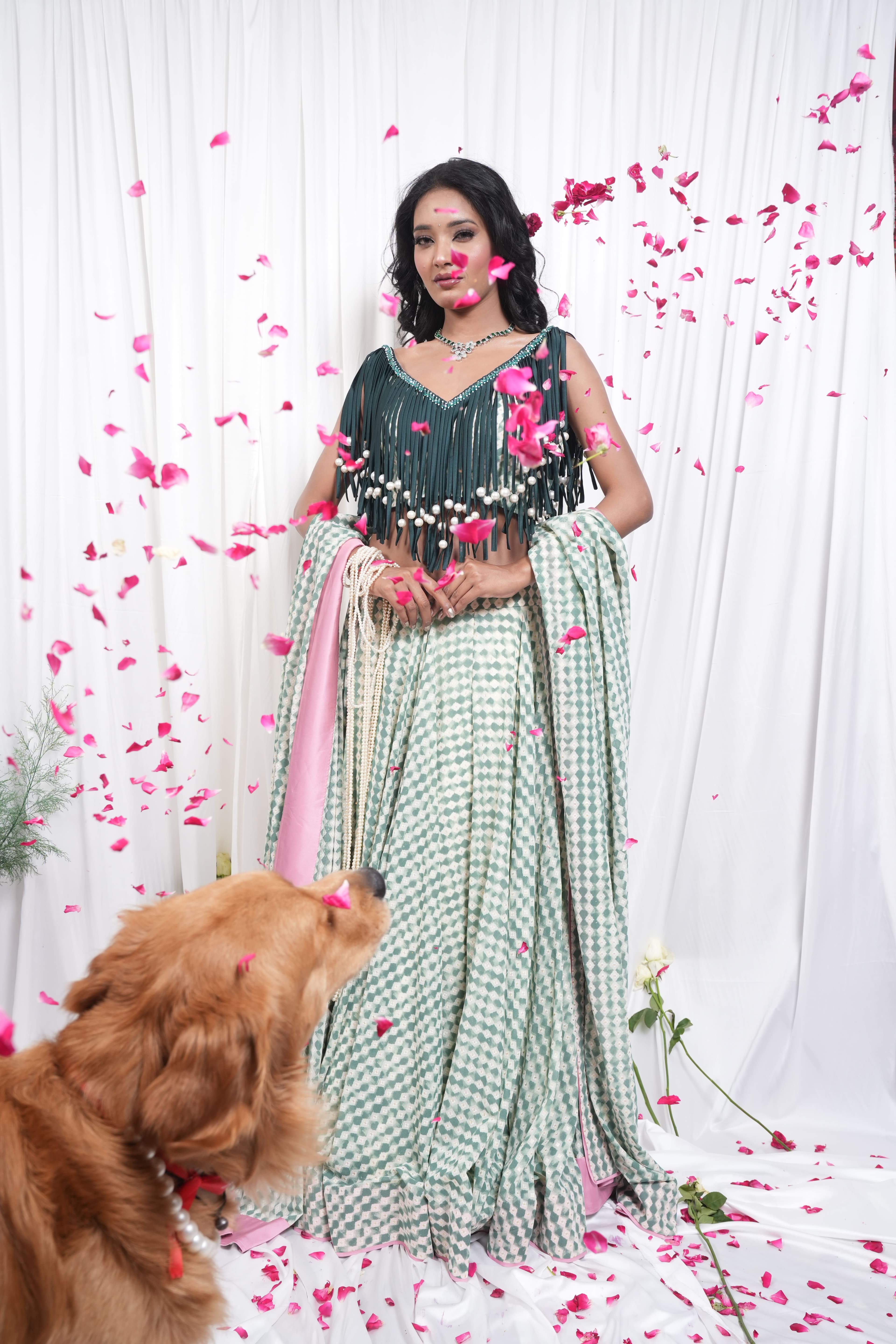 Lehnga 6