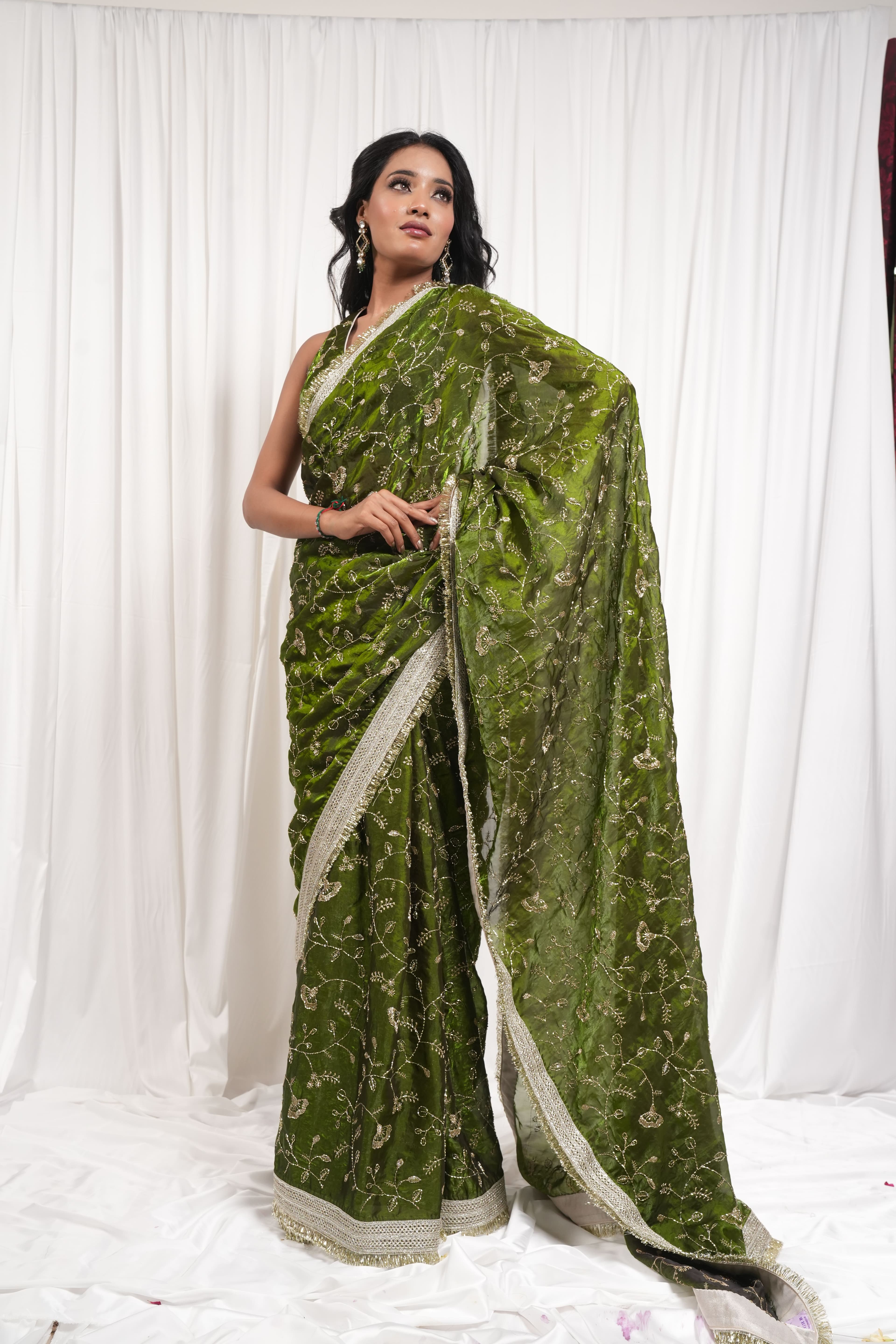 Chiffon saree 4