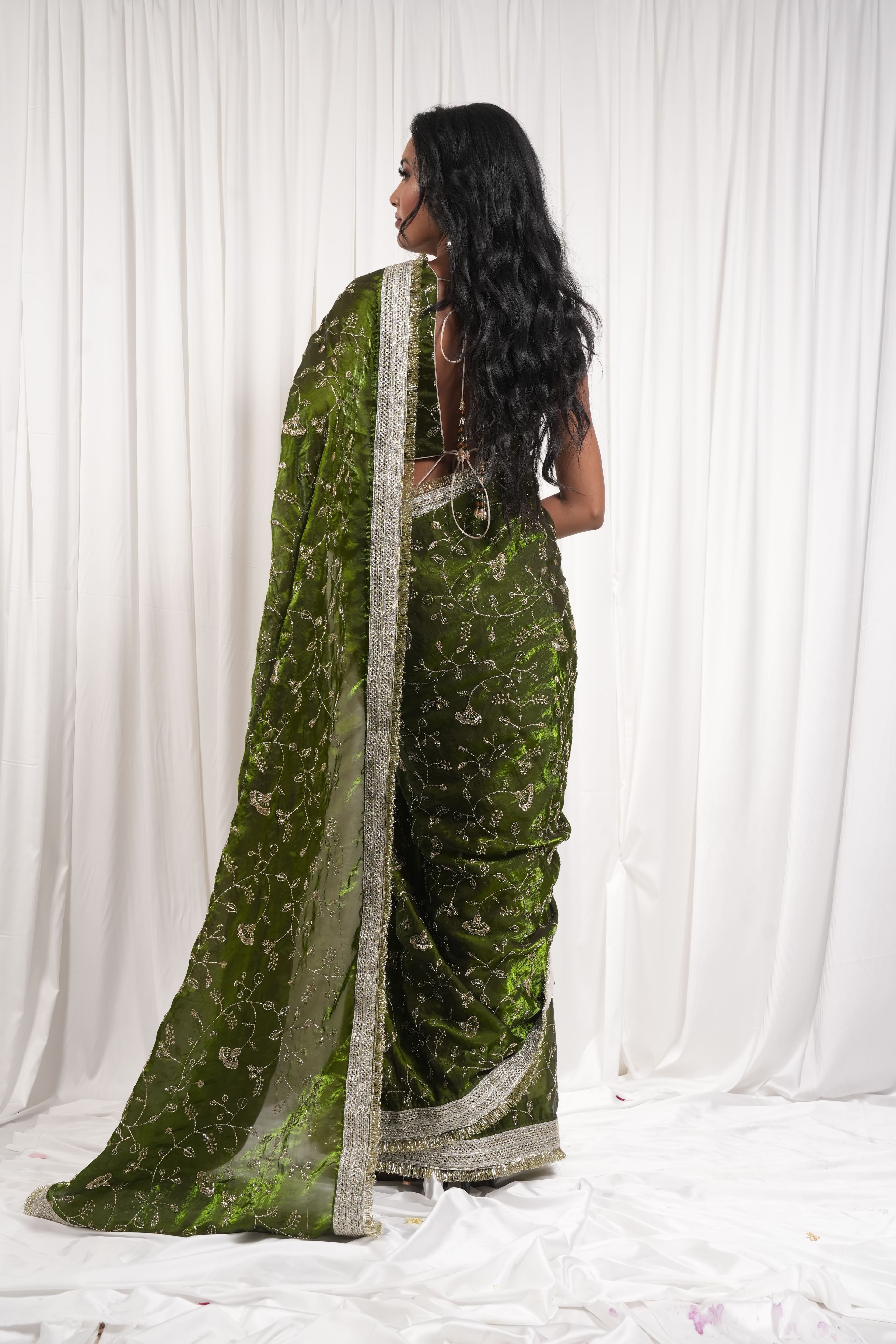Chiffon saree 2