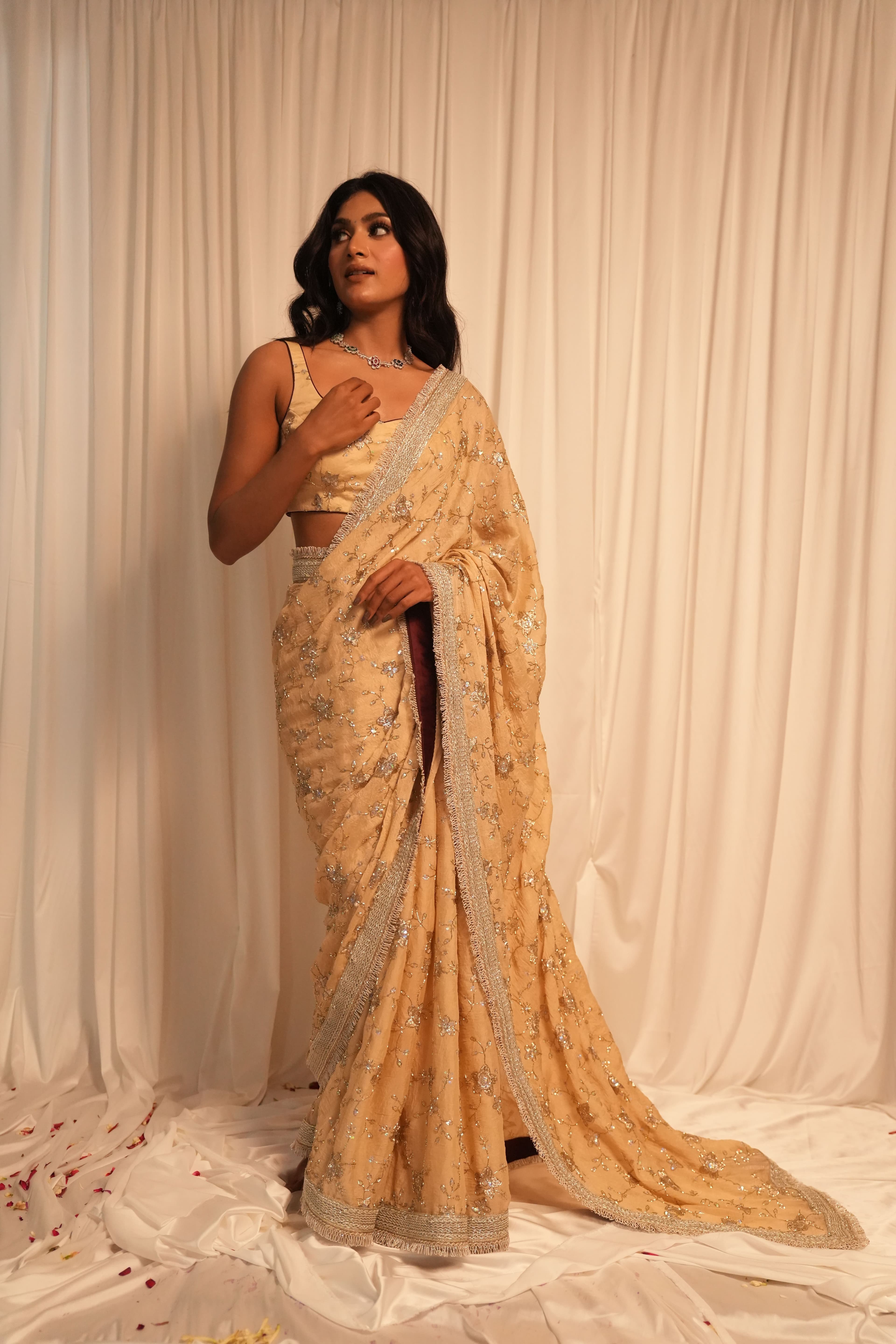Creamy Peach Silver Work Saree 6