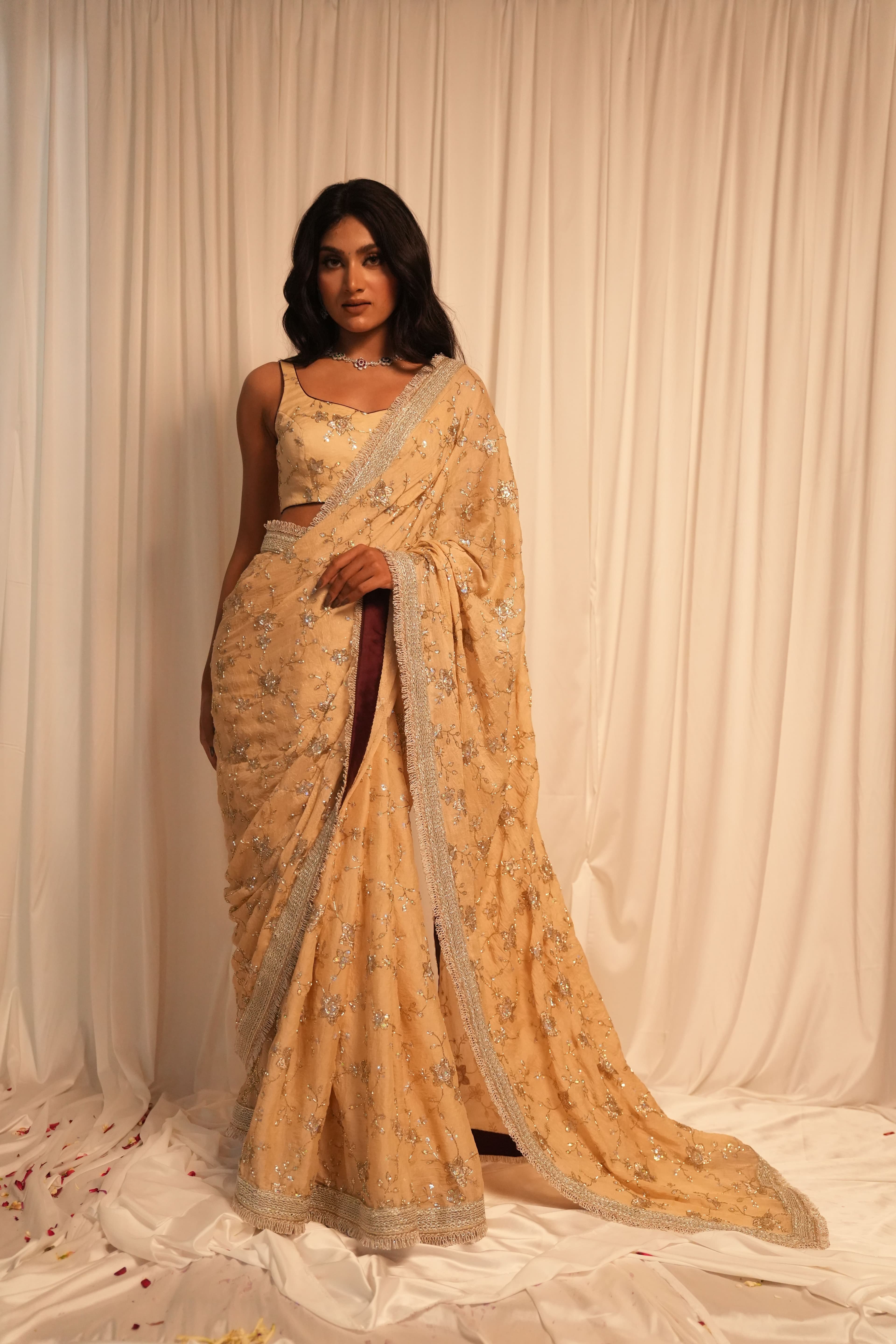 Creamy Peach Silver Work Saree 5