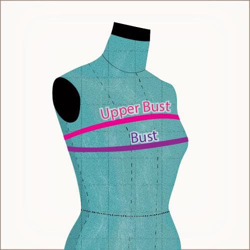 A dressmaker's mannequin with two measuring bands drawn across the chest: the upper band, labelled Upper Bust, sits high and close under the arms; the lower band, labelled Bust, crosses the fullest part of the chest.